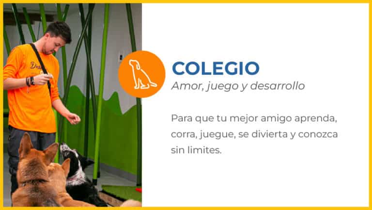 Colegio