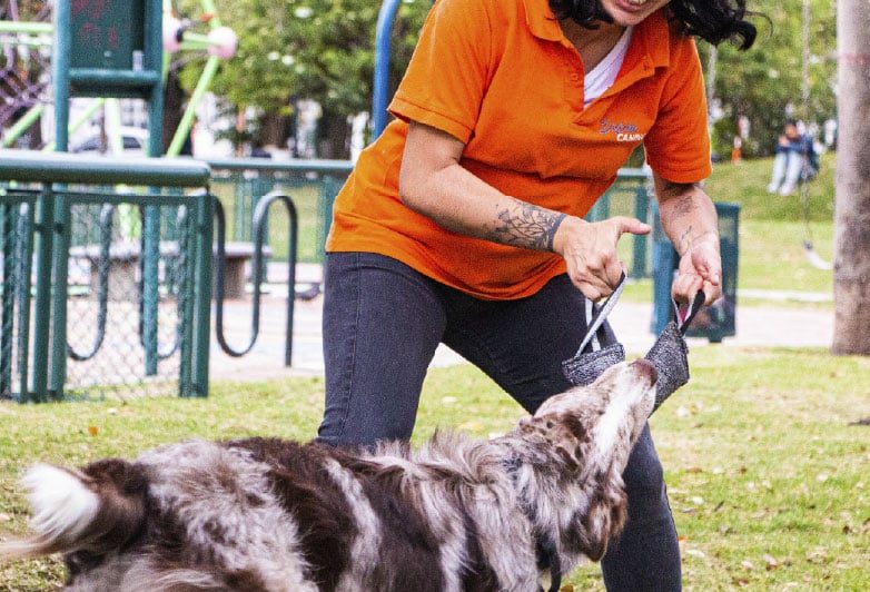 Servicios_Tienda Servicios_Tienda