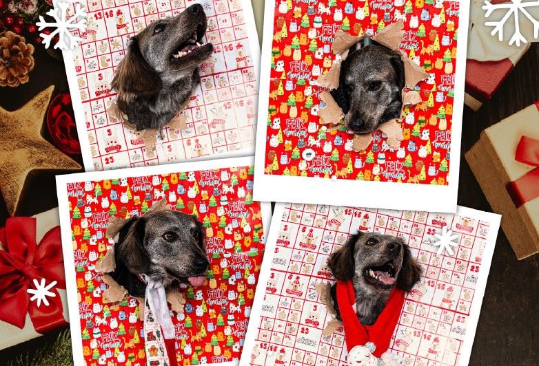 Servios_Fotografia Servios_Fotografia